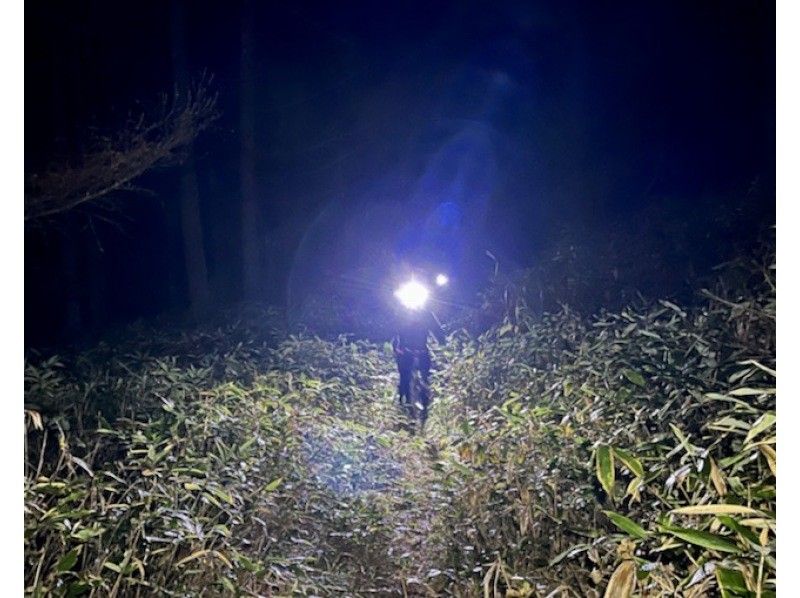 Night tour Limited time!! Enjoy the forest at night ♪ Almost no climbing Mountain biking (1 hour) MTB experience With children Couples Groupsの紹介画像