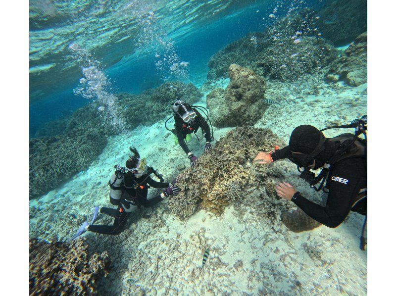 [Okinawa Blue Cave] Experience diving by boat! 8 free benefits includedの紹介画像