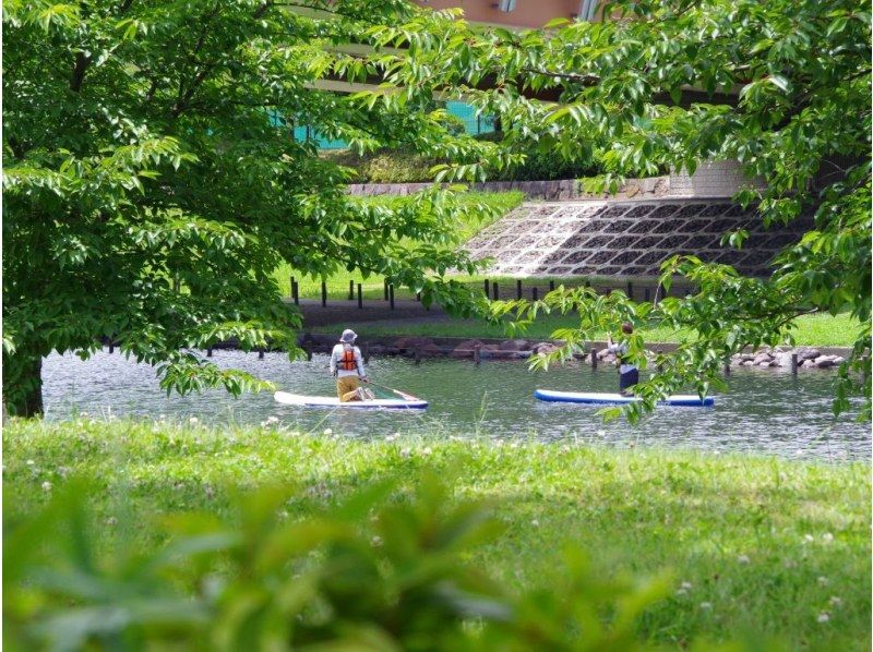 【東京 SUP】スカイツリーの絶景!  　東京SUPツアー   　♪少人数でガイドがしっかりサポートいたします。の紹介画像