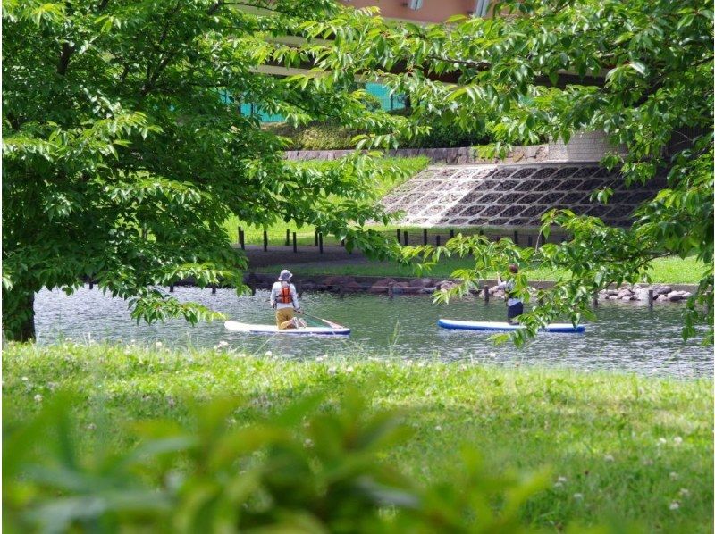 [Tokyo SUP] Spectacular views of the Skytree! Tokyo SUP tour ♪ A small group tour with a guide who will provide thorough support.の紹介画像