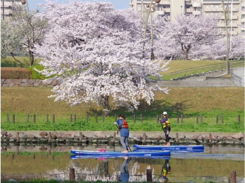 【東京 SUP】スカイツリーの絶景!  　東京SUPツアー   　♪少人数でガイドがしっかりサポートいたします。の紹介画像