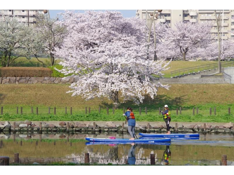 Spectacular views of the Skytree! Tokyo SUP tour ♪ Women participating alone are also welcome.の紹介画像