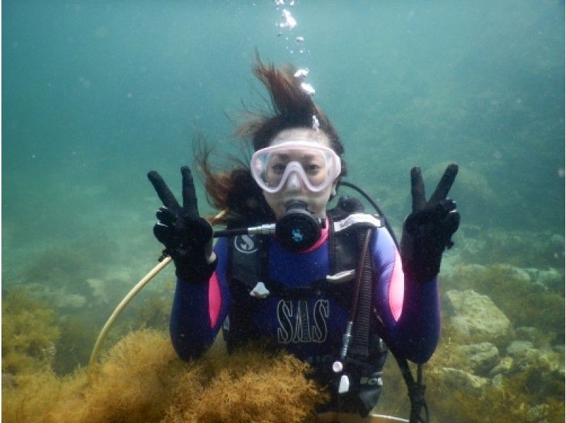 [福井·越前]我覺得自己像個潛水員！經驗深潛（半天課程）の紹介画像