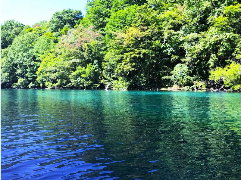 【北海道・支笏湖】国立公園支笏湖 千歳川リバーシュノーケルツアー　小学生から参加OK・ツアー写真プレゼントの紹介画像