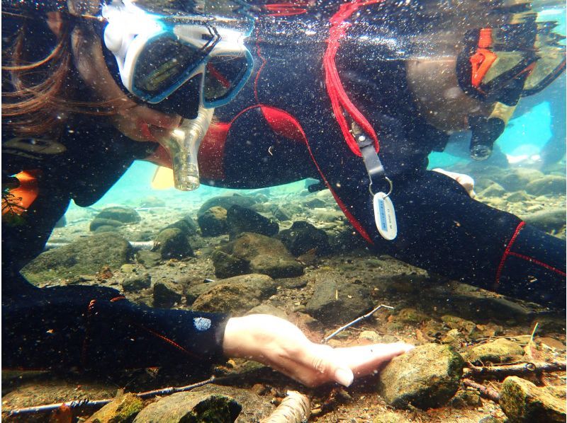 [Hokkaido Lake Shikotsu] National Park Snorkel Tour (Spring / Summer / Autumn) Participation from elementary school students OK / Tour photo giftの紹介画像