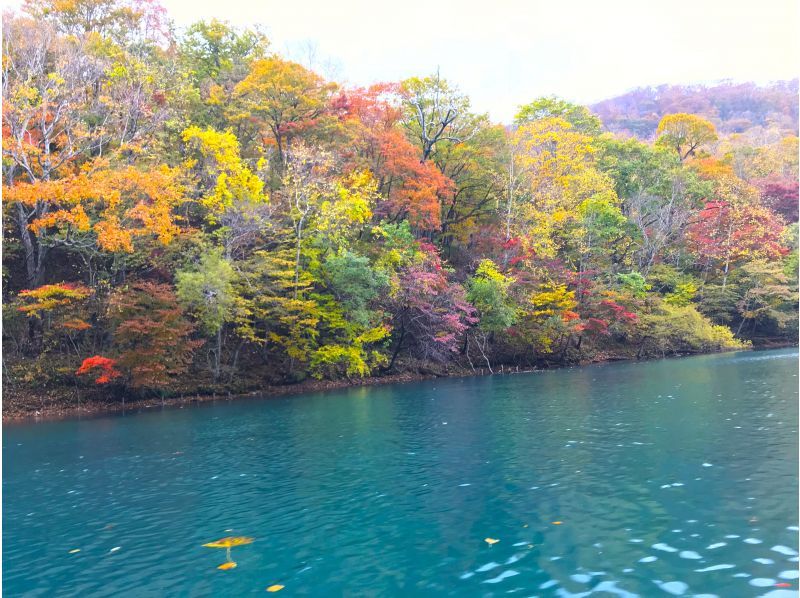 【北海道・支笏湖】国立公園支笏湖 千歳川リバーシュノーケルツアー　小学生から参加OK・ツアー写真プレゼントの紹介画像