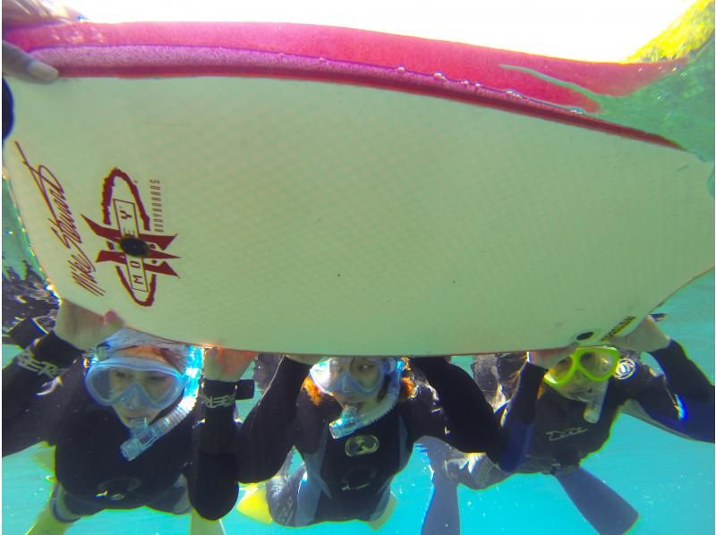 [Hokkaido Lake Shikotsu] National Park Snorkel Tour (Spring / Summer / Autumn) Participation from elementary school students OK / Tour photo giftの紹介画像