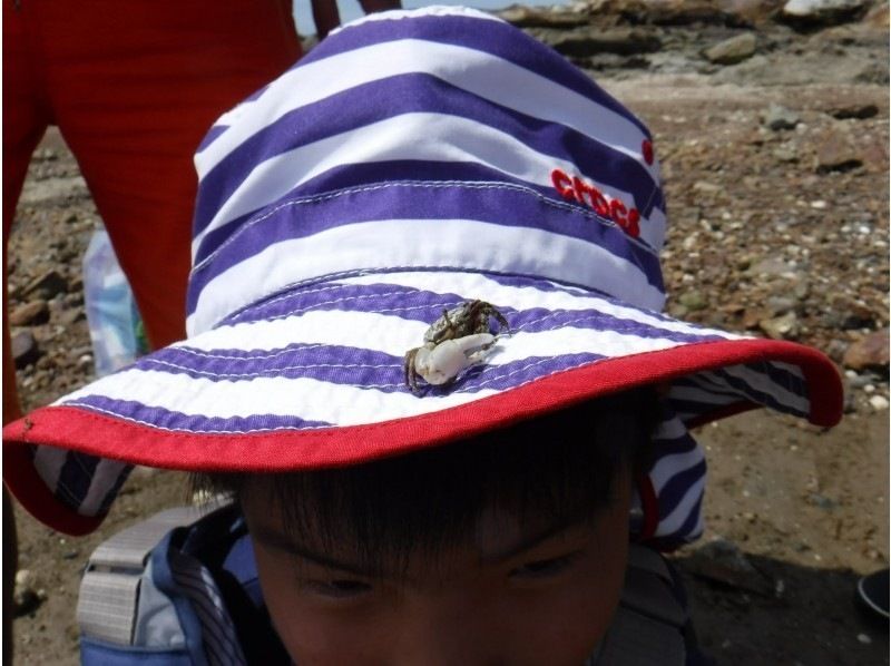 【熊本・天草】大人気！！天草シーカヤック無人島ツアー（半日コース約2時間～２時間半）写真・動画撮影データを編集してプレゼント♪の紹介画像