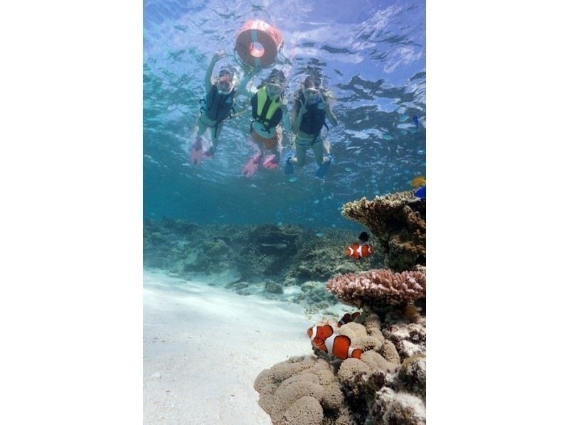 [Departing and returning from Ishigaki Island] Small group tour with peace of mind! Visit the uninhabited island, manta rays, sea turtles, and coral reefs! Snorkel in the breathtakingly beautiful ocean! (1-day course)の紹介画像