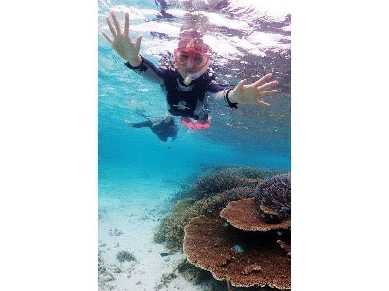 [Departing and returning from Ishigaki Island] Small group tour with peace of mind! Visit the uninhabited island, manta rays, sea turtles, and coral reefs! Snorkel in the breathtakingly beautiful ocean! (1-day course)の紹介画像