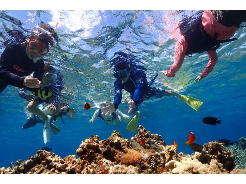 [Departure and arrival at Ishigaki Island] Safe small group system! Longed-for uninhabited island & Churaumi snorkeling! (1 day course)の紹介画像