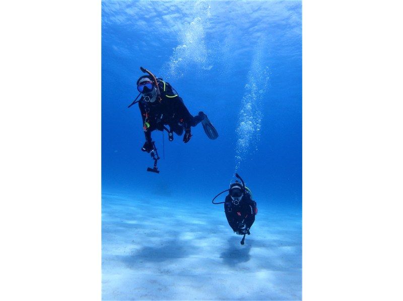 Enjoy summer early! [Departing from Ishigaki Island] Small group tour for peace of mind! Land on the uninhabited island of your dreams & enjoy diving in the beautiful ocean! (1 day course)の紹介画像