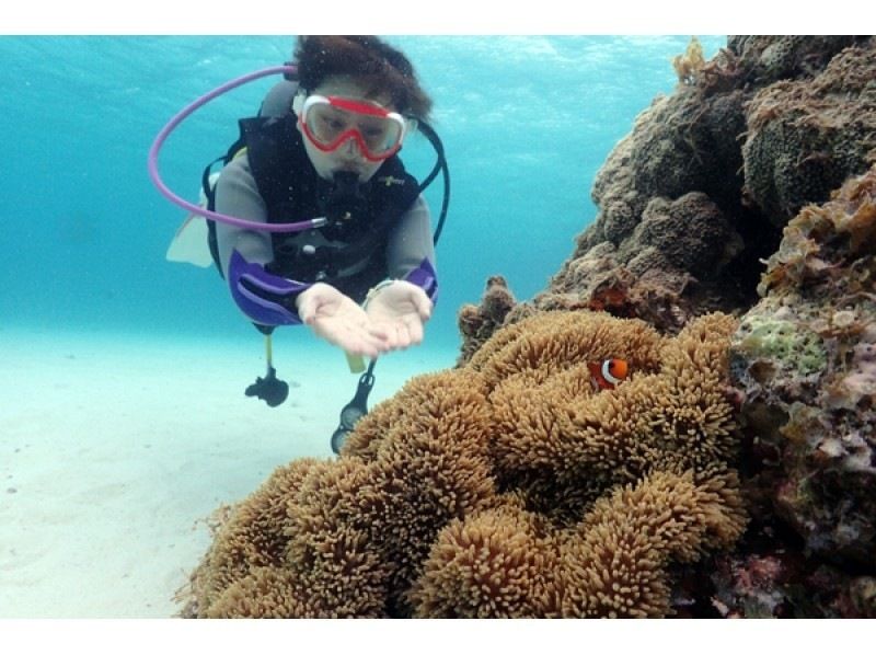 [Ishigaki island departure and arrival] Reliable small Number of participants system! Landing on the uninhabited island of longing & Churaumi FUN Diving! (1 day course)の紹介画像