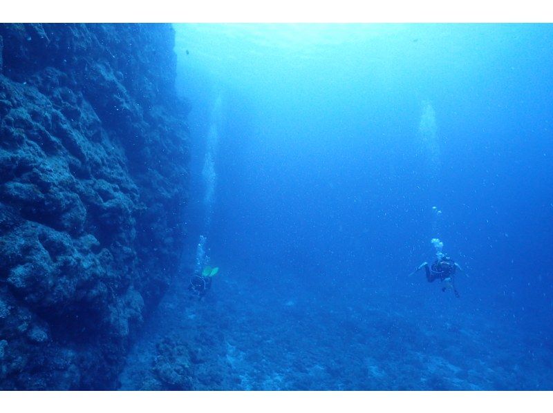 夏をいち早く楽しもう！【石垣島発着】安心の少人数制！憧れの無人島に上陸&美ら海FUNダイビング！（1日コース）の紹介画像