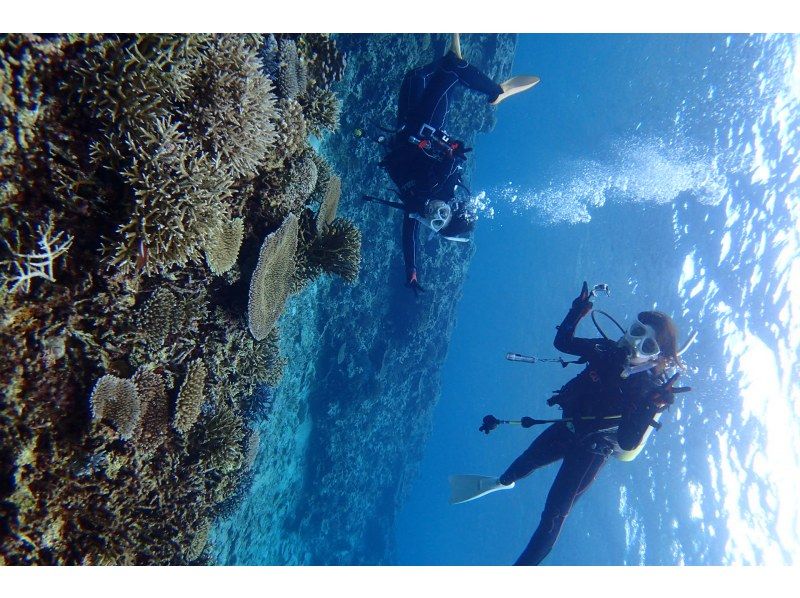 [Ishigaki island departure and arrival] Reliable small Number of participants system! Landing on the uninhabited island of longing & Churaumi FUN Diving! (1 day course)の紹介画像