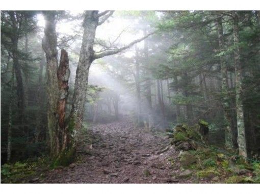 長野 八ヶ岳 蓼科山登山 初心者の方におすすめ日帰りコース 標高２５３０ｍ お子さんも登れます アクティビティジャパン