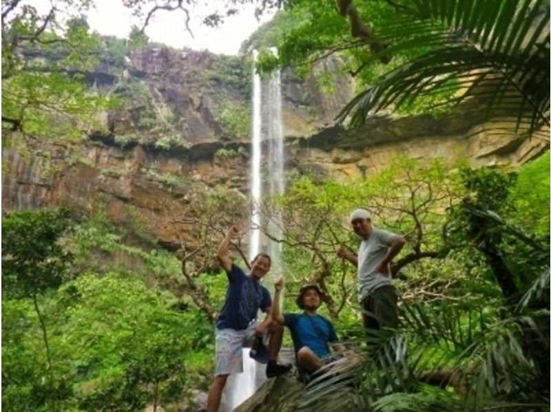 [Okinawa ・ Iriomote Island] The largest waterfall in the prefecture! Pinaisara trekking Kayak Tours! ! ★ 1 day plan ★の紹介画像