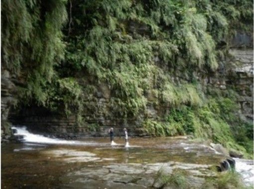 沖縄 西表島 日本滝百選を見る マヤグスクの滝ツアー 送迎付き １日プラン アクティビティジャパン