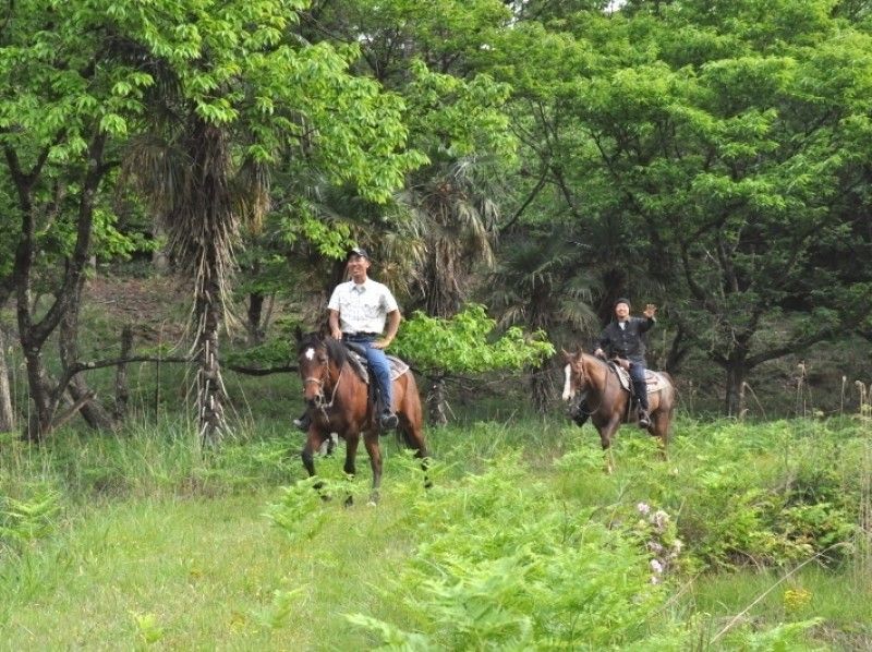 京都府の事業者「TANIMOTO　HORSE　RANCH」による乗馬体験の様子