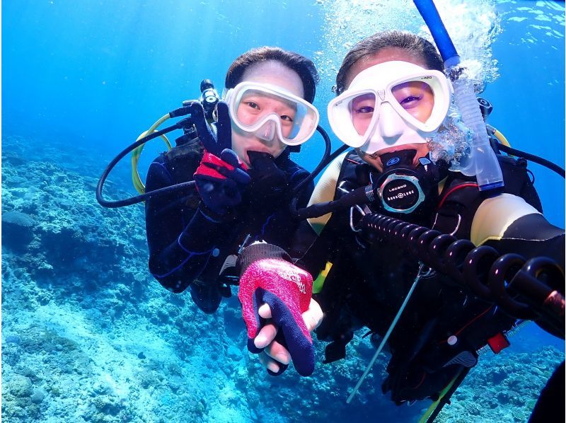 A thorough introduction to Kerama's recommended diving shops and popular experience tours!