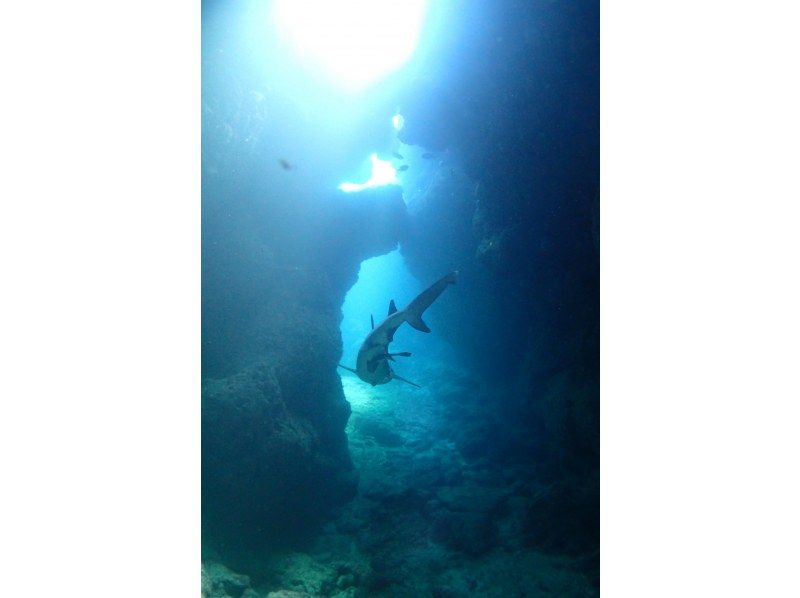 [沖縄·西海岸]範深潛！西海岸深潛課程（船潛）の紹介画像
