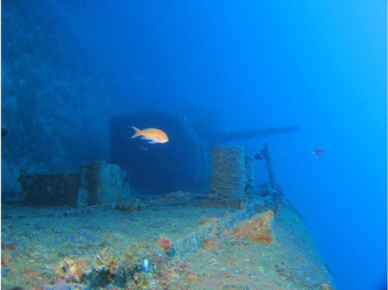 [Okinawa Kouri Island off the coast of fan diving (USS Emmons wreck Tour)の紹介画像