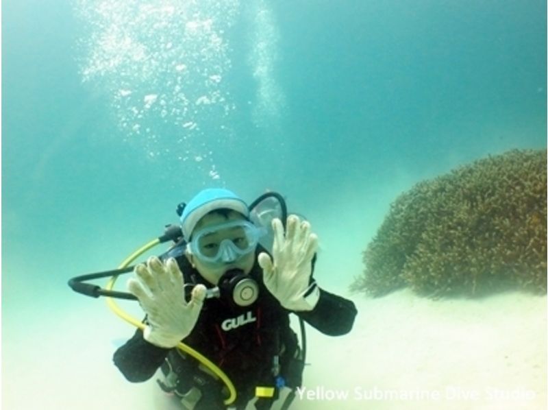 [Okinawa ・ Ishigaki island] Easy! Experience Diving(half-day course)の紹介画像