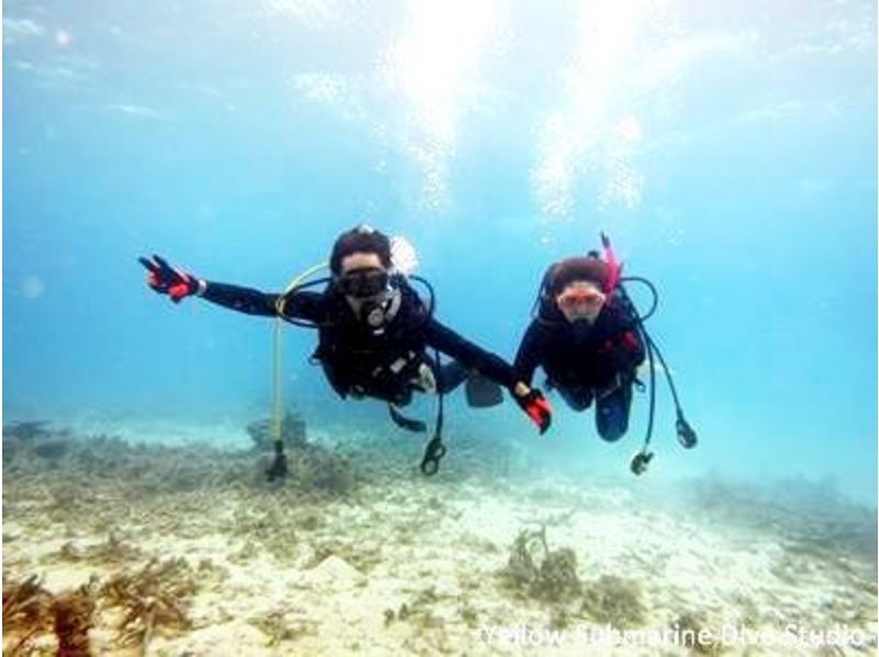[Okinawa ・ Ishigaki island 】 Play the sea greedy! Coral reef Diving& Manta Snorkel (1 day course)の紹介画像