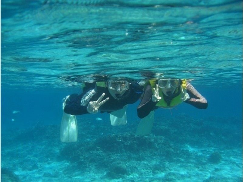 [鹿児島·奄美大島]海龜遭遇率95％！原創水族館伴侶的飼養人員陪同♪浮潛經驗（一半日課程）の紹介画像