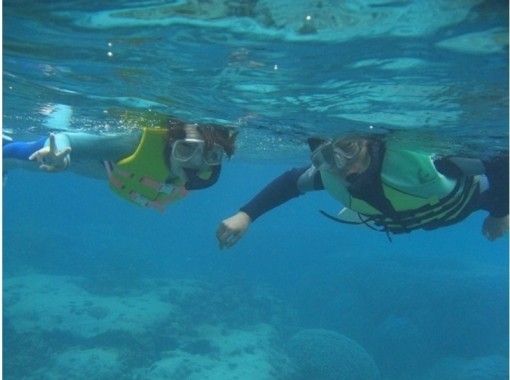 鹿児島 奄美大島 海龜遭遇率95 原創水族館伴侶的飼養人員陪同 浮潛經驗 一半日課程 Activityjapan