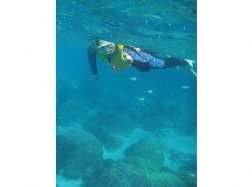 鹿児島 奄美大島 海龜遭遇率95 原創水族館伴侶的飼養人員陪同 浮潛經驗 一半日課程 Activityjapan 鹿児島 奄美大島 海龜遭遇率95 原創水族館伴侶的飼養人員陪同 浮潛經驗 一半日課程 Activityjapan