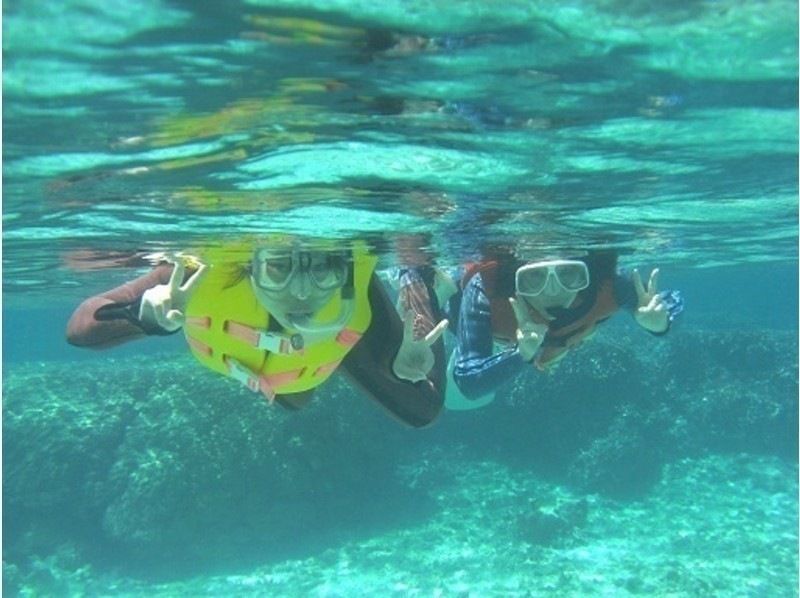 [鹿儿岛·奄美大岛]海龟遭遇率95％！原创水族馆伴侣的饲养人员陪同♪浮潜经验（一半日课程）の紹介画像