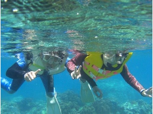 鹿児島 奄美大島 海龜遭遇率95 原創水族館伴侶的飼養人員陪同 浮潛經驗 一半日課程 Activityjapan
