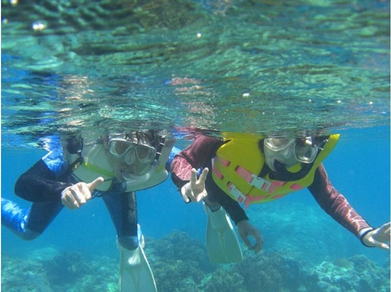 [Kagoshima ・ Amami Oshima] Sea turtle encounter rate 95%! Original Aquarium The rearing staff of a companion accompanied ♪ Snorkeling Experience (half-day course)の紹介画像