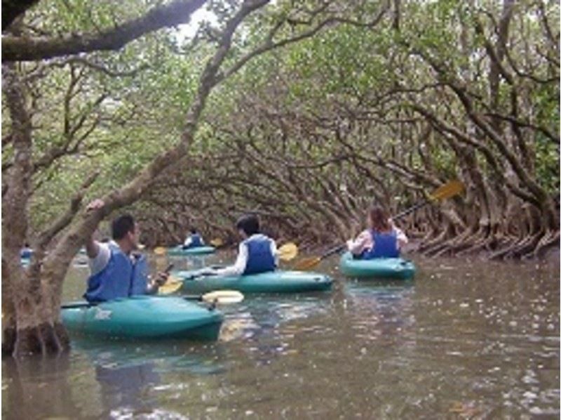 [Kagoshima ・ Amami Oshima】 Sea turtle encounter rate 95%Snorkeling And Mangrove Exploration Canoe Tour (1 Sun course)の紹介画像
