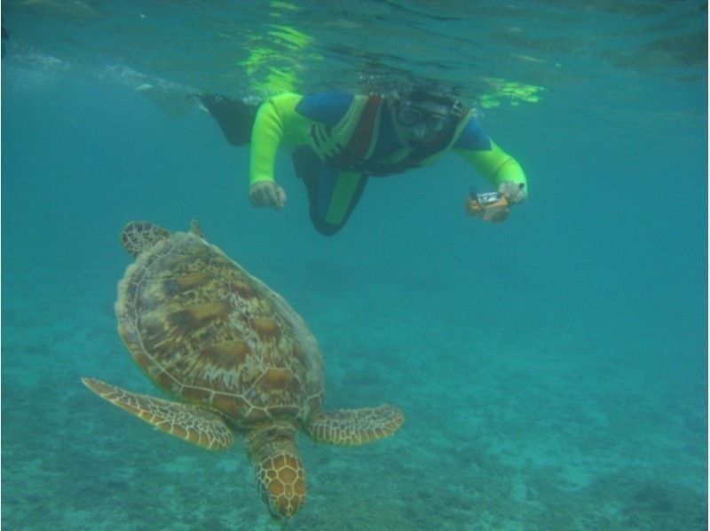 [鹿児島·奄美大島】海龜遭遇率95％浮潛和紅樹林探險獨木舟之旅（1日課程）の紹介画像