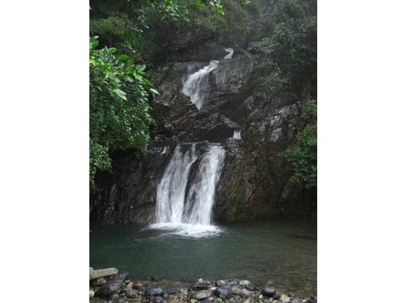 [Kagoshima ・ Amami Oshima] Subtropical waterfall and Yuwandake! Power spot walking tour (1 day course)の紹介画像