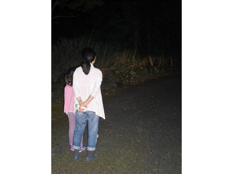 [คาโกชิมา/ Amami Oshima] ไปดูกระต่ายกัน! สำรวจป่ากึ่งเขตร้อนที่เป็นมรดกโลกทางธรรมชาติ! ทัวร์กลางคืน! พร้อมโอนの紹介画像