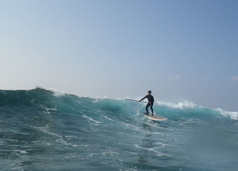 What is SUP? A thorough introduction to board types and recommended experience tours for beginners!