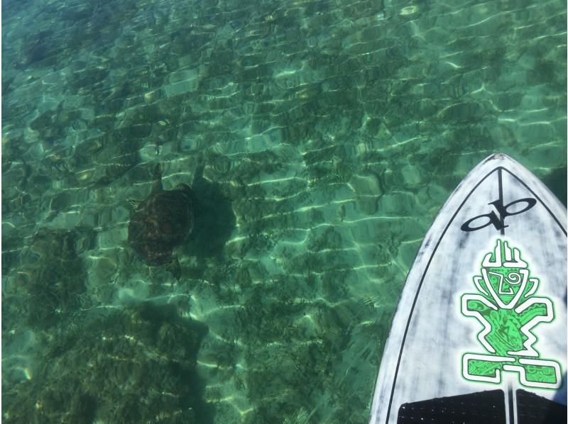 Come experience it with Kazbo, the pioneer of Amami SUP! Leave a review and receive a free 5K video from a GoPro 13.の紹介画像