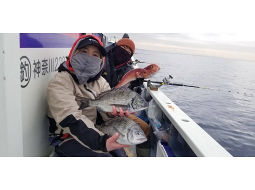 湘南 鎌倉 何が釣れるかワクワク 乗合船で五目釣り体験 初心者 女性 お子様大歓迎 手ぶらでok アクティビティジャパン