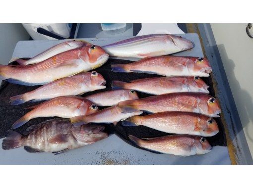 [Shonan / Kamakura / half day] 2 minutes near the station ♪ Empty-handed OK ♪ You can catch various kinds of fish! Gomoku fishing experience on a shared boat-Beginners, women and children welcome! Horse mackerel, Thai, Inada, etc.の紹介画像