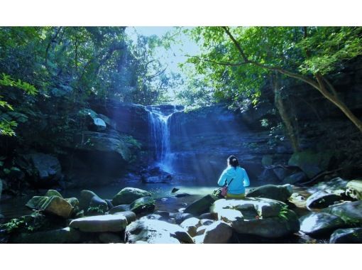 【西表島】亜熱帯の森で森林浴!「半日トレッキングツアー」11月~4月。初心者歓迎。小浜島や石垣島からの日帰りOK(AM・PM 3時間) 【西表島】亜熱帯の森で森林浴!「半日トレッキングツアー」11月~4月。初心者歓迎。小浜島や石垣島からの日帰りOK(AM・PM 3時間)