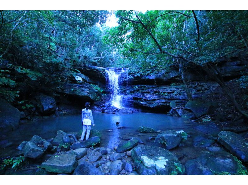 [沖縄·西表島]嬰兒瀑布也很安全！ “庫拉瀑布球場”（上午半天/下午3點）の紹介画像