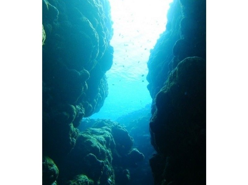 [沖縄·Onna Village，Cape Zanpa，Kintake Town]船迷們深潛課程（C卡持有人）の紹介画像