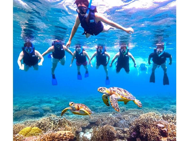 《Limited Course》【Ishigaki Island/Very Popular】3 major spots★Kabira Bay + Blue Cave + Recovery Falls and sea turtle snorkeling! Same-day reservations OK★Free use of facilities and transfers KASの紹介画像