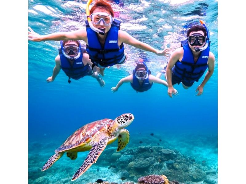 《Limited Course》【Ishigaki Island/Very Popular】3 major spots★Kabira Bay + Blue Cave + Recovery Falls and sea turtle snorkeling! Same-day reservations OK★Free use of facilities and transfers KASの紹介画像