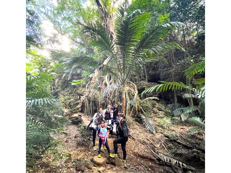 《限定コース》【石垣島/大人気】3大スポット★川平湾+青の洞窟+回復の滝とウミガメシュノーケル！当日予約OK★施設利用・送迎無料　KASの紹介画像