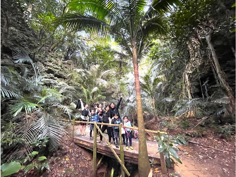 《限定コース》【石垣島/大人気】3大スポット★川平湾+青の洞窟+回復の滝とウミガメシュノーケル！当日予約OK★施設利用・送迎無料　KASの紹介画像