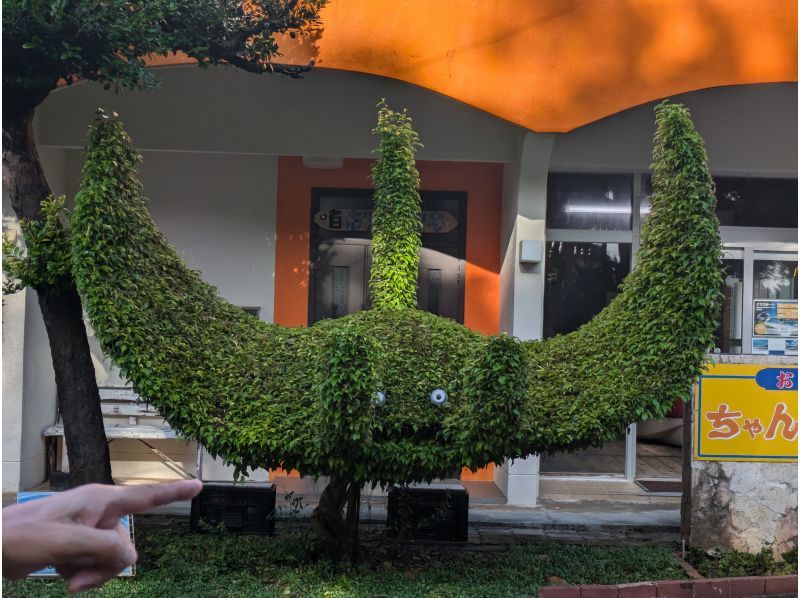 《限定コース》【石垣島/大人気】3大スポット★川平湾+青の洞窟+回復の滝とウミガメシュノーケル！当日予約OK★施設利用・送迎無料　KASの紹介画像